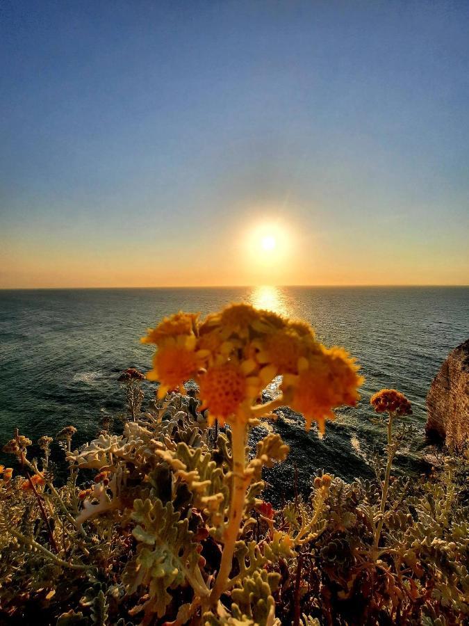 Villa Panorama, Vue Mer Et Falaises D Exception Étretat Dış mekan fotoğraf